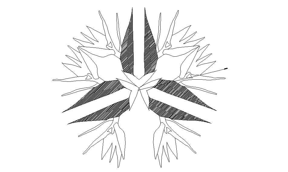 /_next/static/media/05.e9e7ae7a.jpg